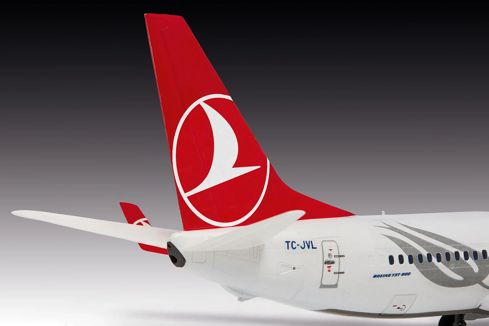 Boeing 737-800 "Turkish Airlines" - Image 8