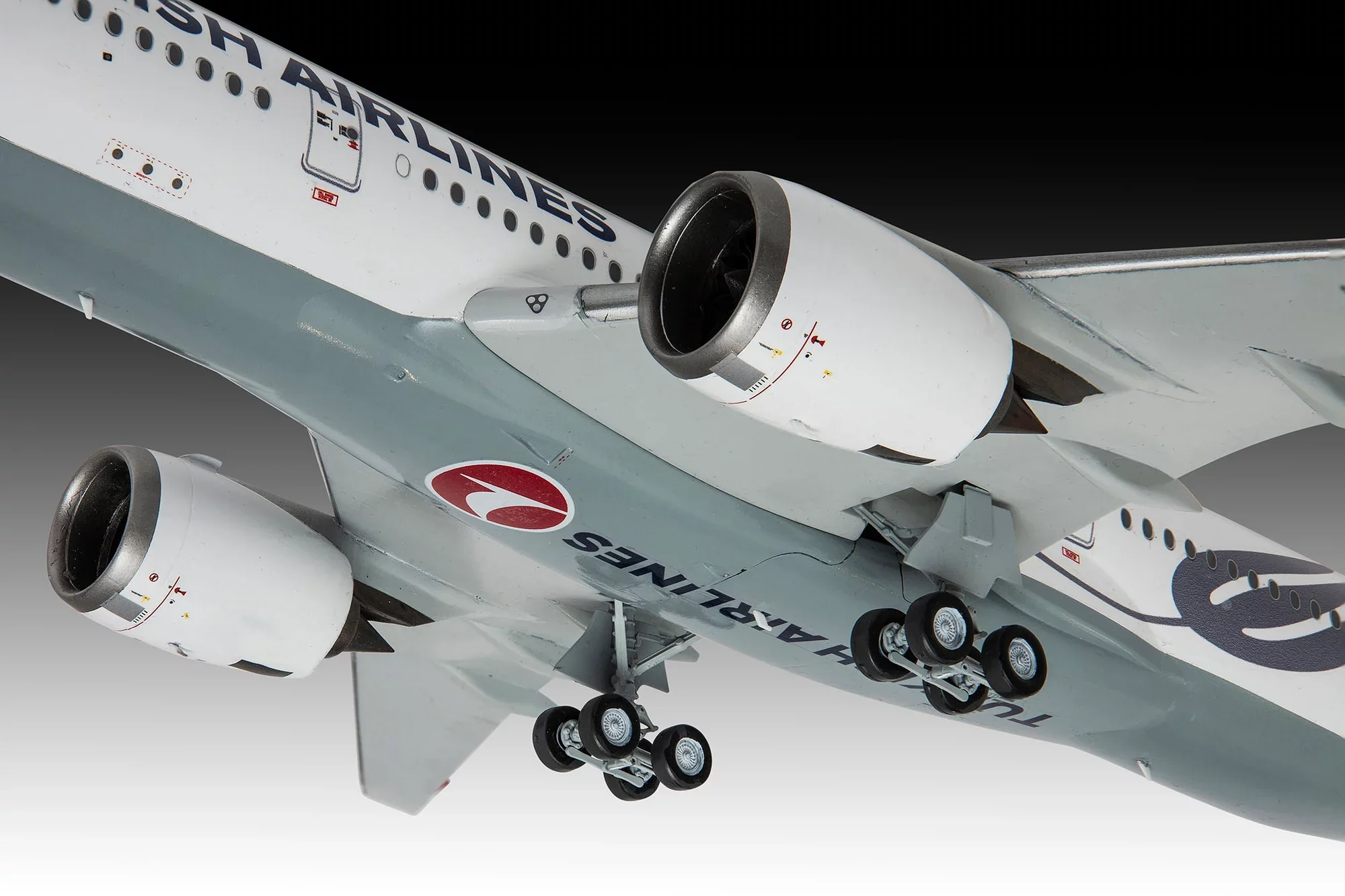 Airbus A350-900 "Turkish Airlines" - Image 9