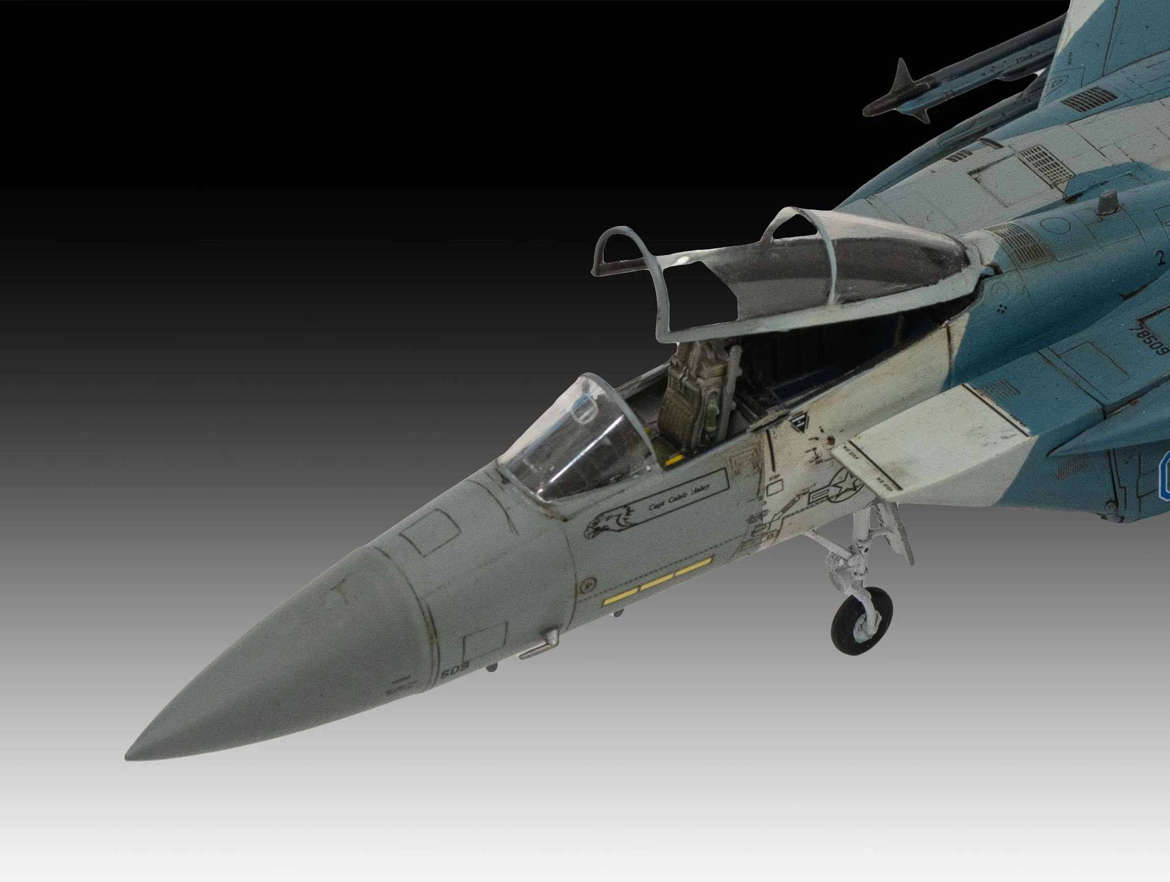 Boeing F-15C Eagle - Image 11