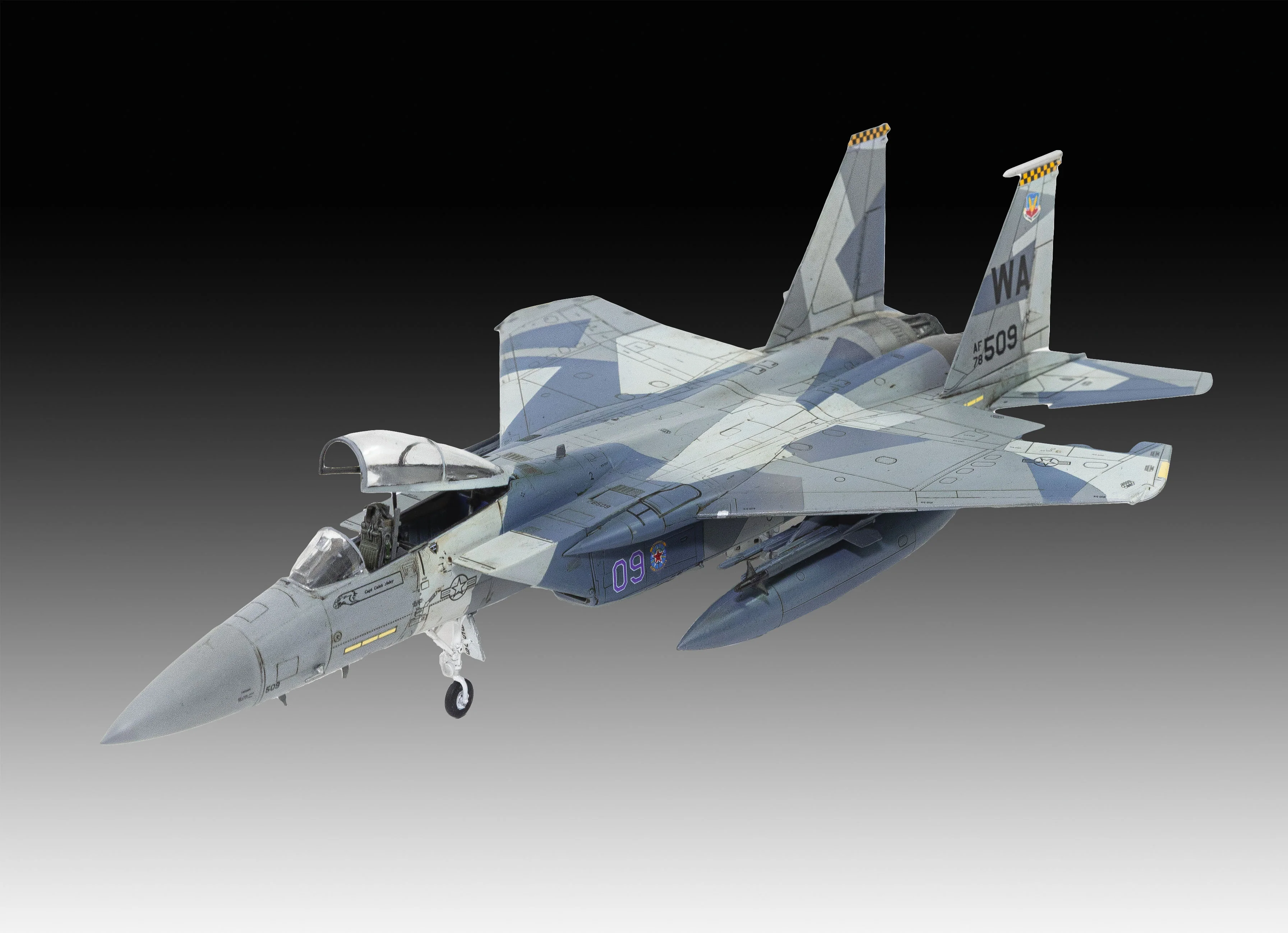 Boeing F-15C Eagle - Image 12