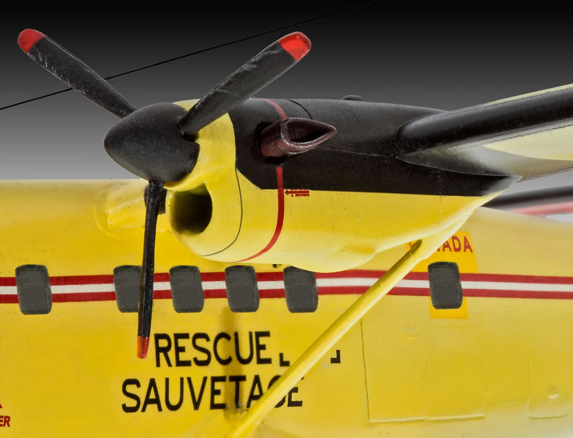 DHC-6 Twin Otter - Image 3