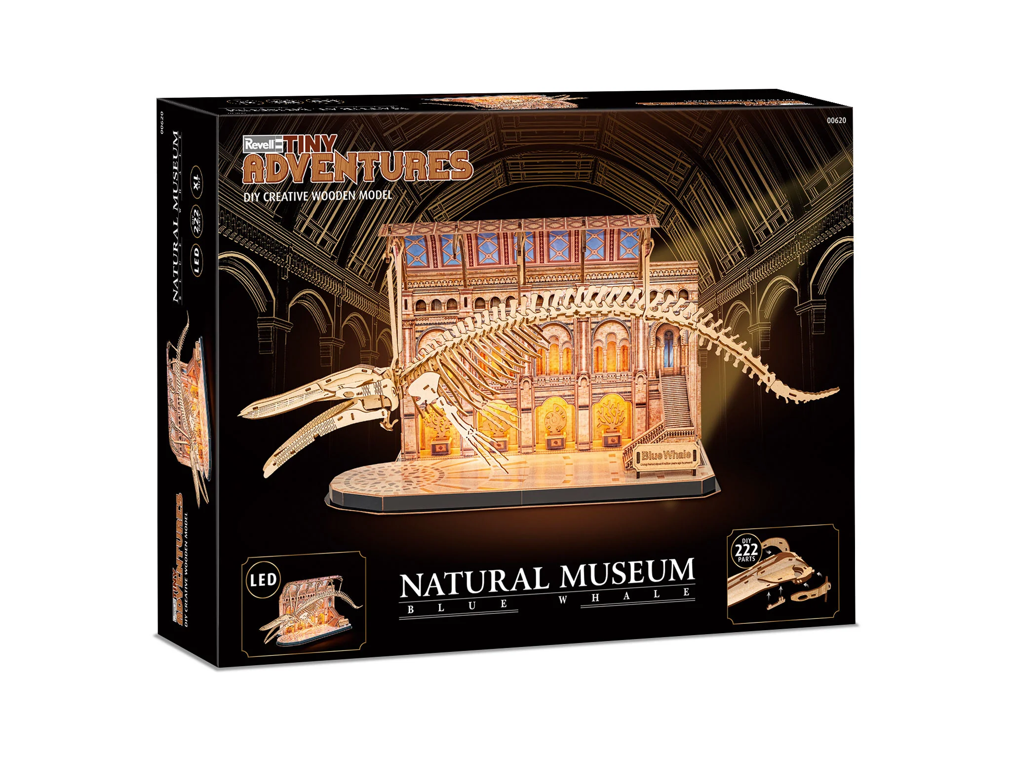 Natural Museum Blue Whale - Image 3