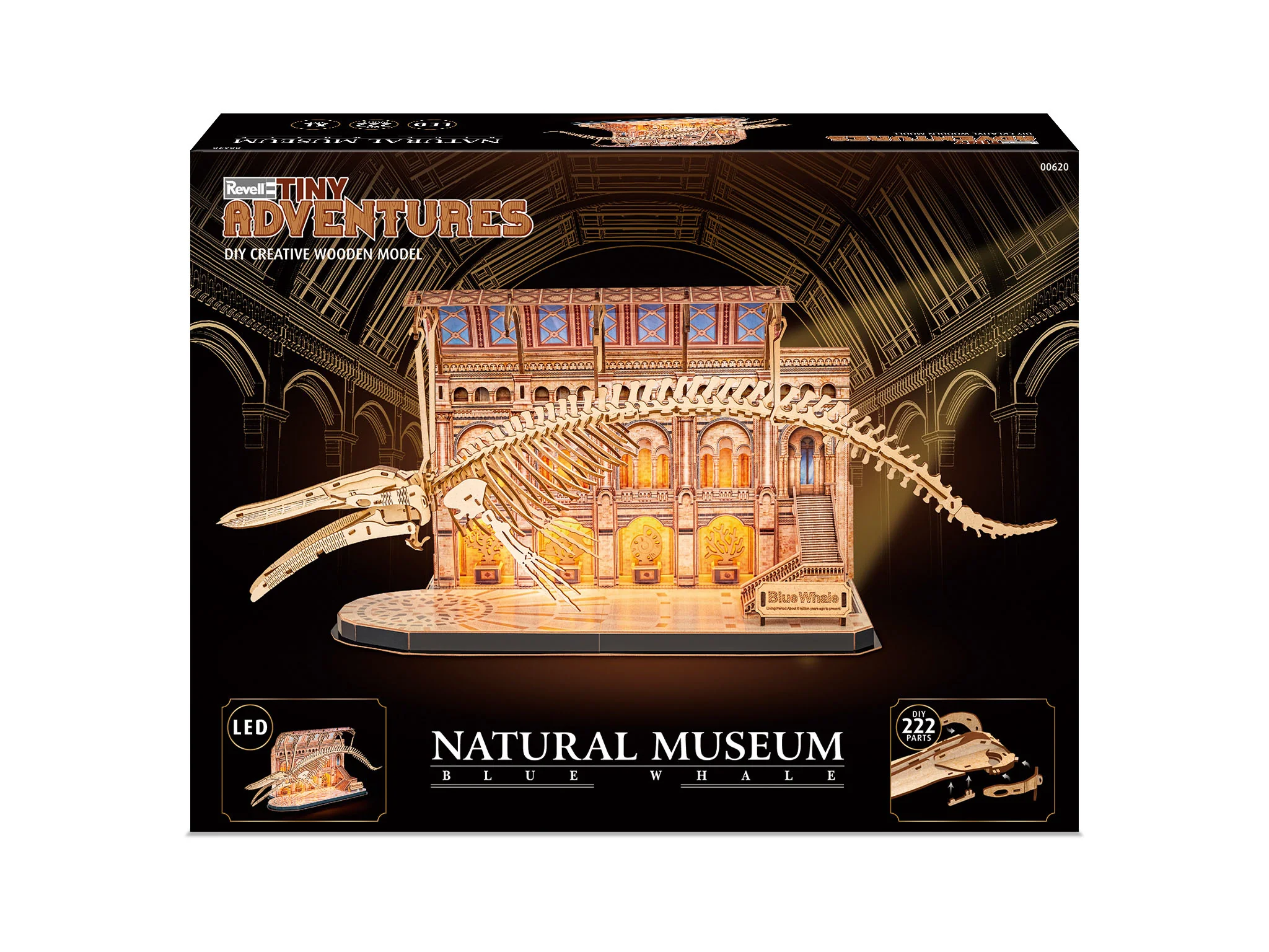 Natural Museum Blue Whale - Image 4